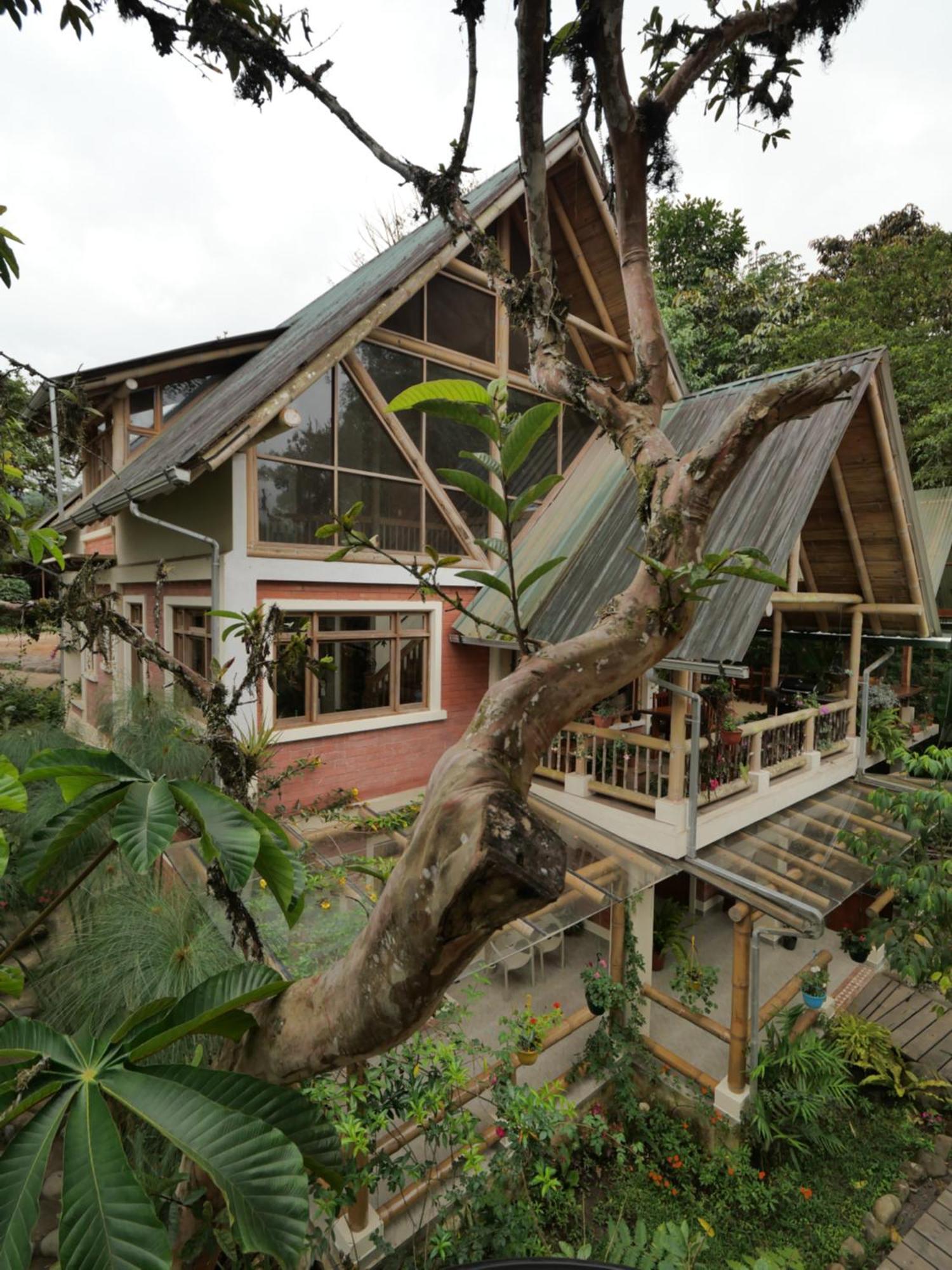 Bed and breakfast Casa Del Rio En Mindo Extérieur photo